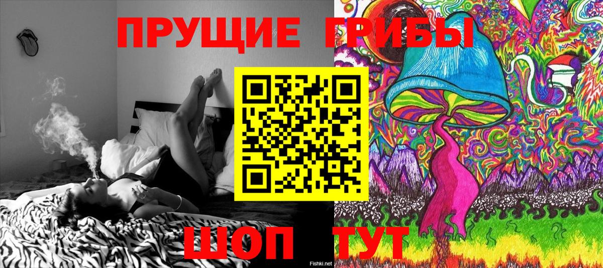 Галлюциногенные грибы GOLDEN TEACHER  Псилоцибиновые грибы MAGIC MUSHROOMS  Вход с VPN  Кропоткин 